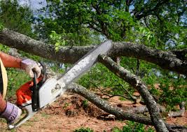 Lawn Watering Services in Jamestown, NY